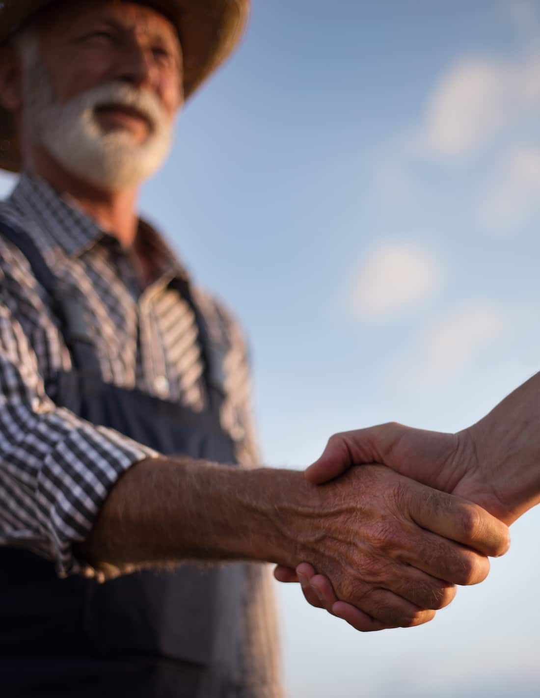 Close-up of a farmer and a buyer shaking hands warmly in a sunlit agricultural field.
