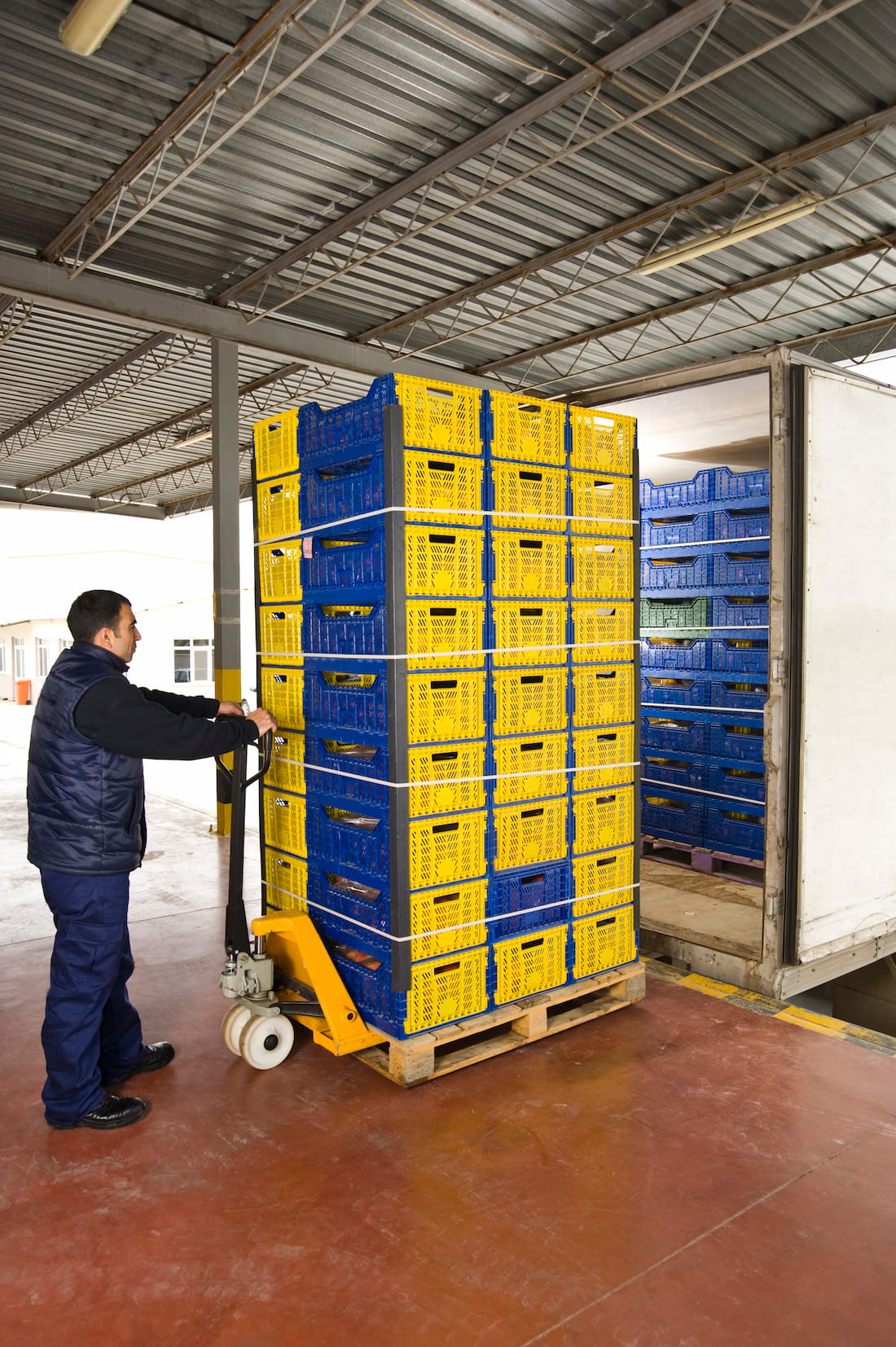 Clean and organized warehouse hub with pallets of fresh produce in cold storage.