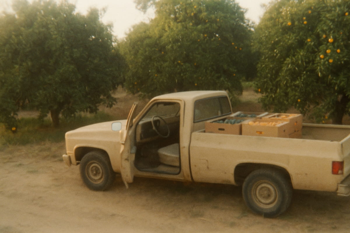 Vintage pickup truck with boxes of fruit on a country road